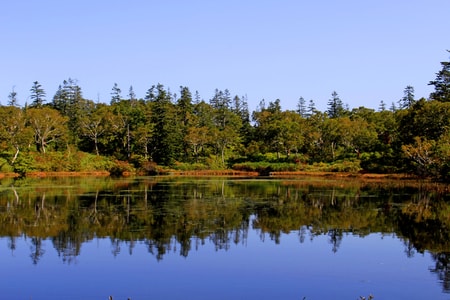 ニセコ湯の里温泉