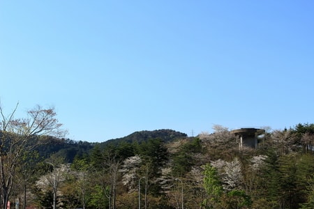 花巻温泉郷　金矢温泉