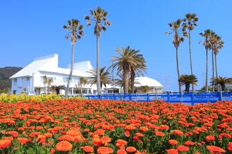 南房総白浜温泉