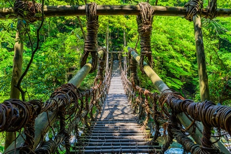 湯元新祖谷温泉