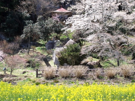 芦野温泉