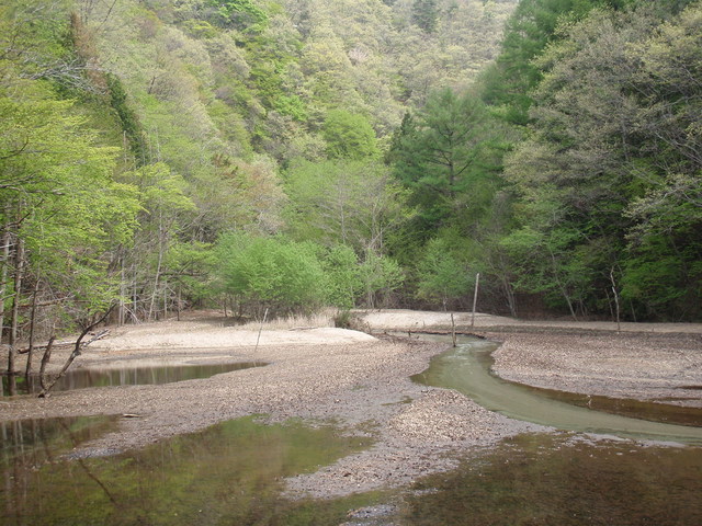 天目山温泉/渓流の自然に触れ、季節によって変化する湯につかる