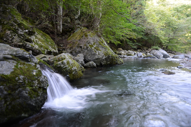 法能温泉/カキツバタの花に包まれる家族経営の温泉
