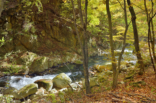 嵯峨塩鉱泉/嵯峨塩渓谷の自然の中に湧く「信玄公の隠し湯」