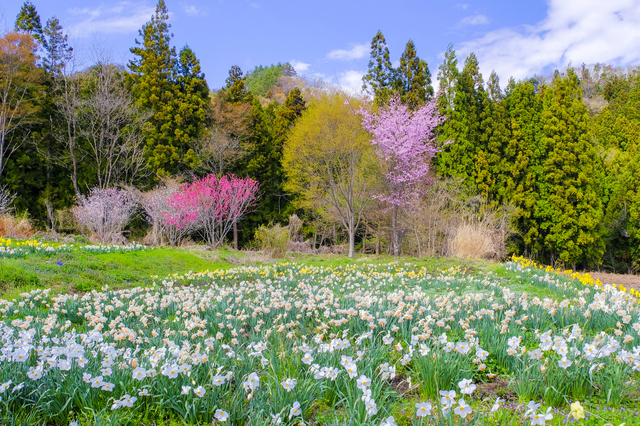 奥平温泉/のどかな景色に囲まれて、ゆったりくつろぐ美人の湯
