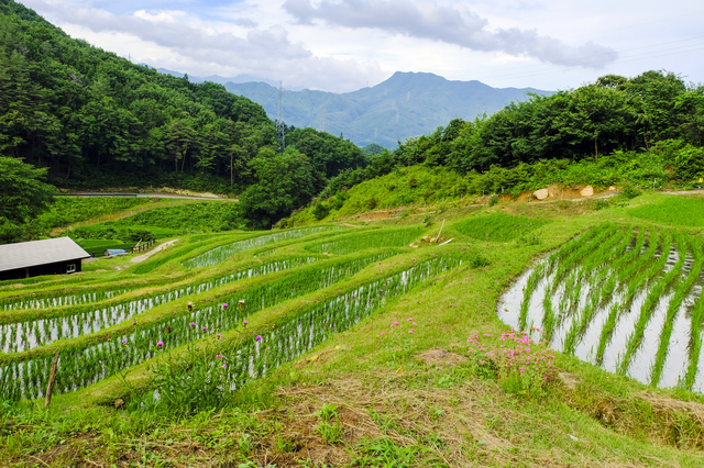 真沢温泉/美人の湯と自然の摘み草料理で内と外から美しく