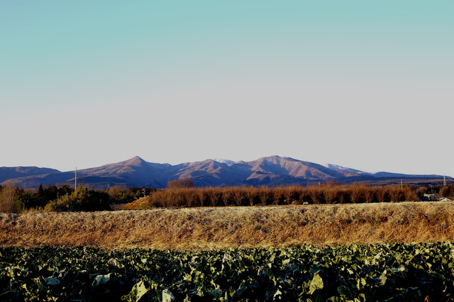 滝沢温泉/赤城山麓の自然と野趣と自然の恵み豊かな秘湯