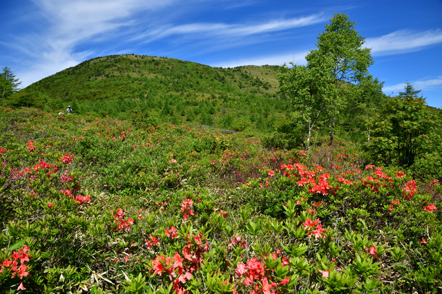 つつじの湯/「嬬恋高原キャベツ」の育つリゾート地に湧く温泉