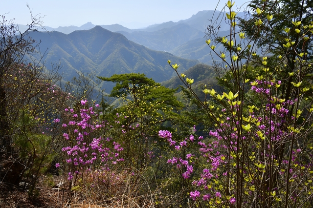 野栗沢温泉／太古の海水が、野生生物を癒やす薬師の湯へ