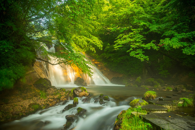 白水鉱泉温泉/天然の炭酸水が阿蘇の自然と喉を潤す