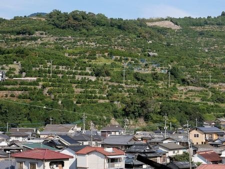 河内温泉
