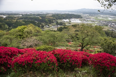 菊鹿温泉