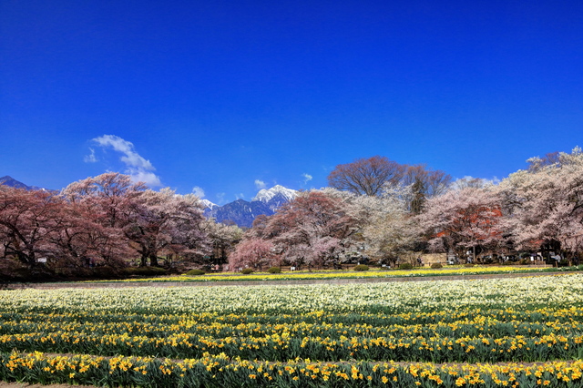 むかわの湯/南アルプスの山々から湧く2種の療養泉でリラックス
