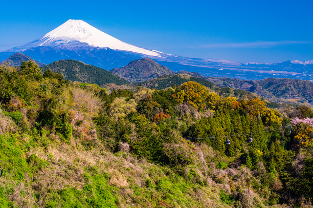 ふじやま温泉/和風巨大浴室で入る富士山バナジウム水の温泉