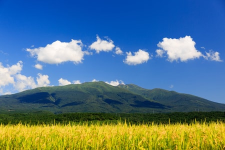 飯森山温泉