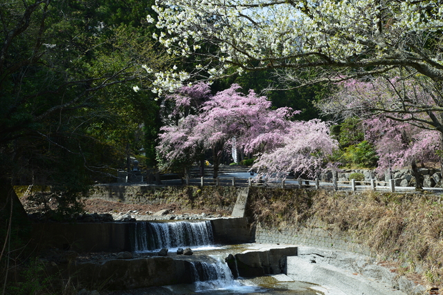 湯沢温泉/信玄公が傷を癒やした日本の「隠し湯」