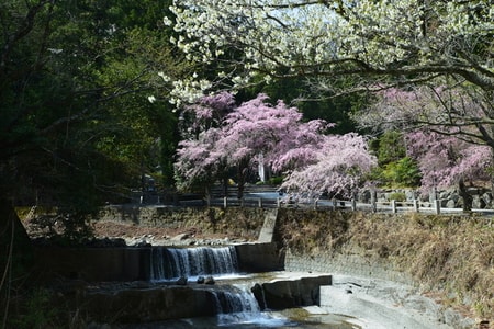 湯沢温泉