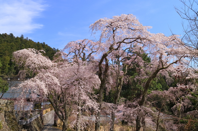 内船温泉/四季の山河の景色を眺める一軒宿の温泉