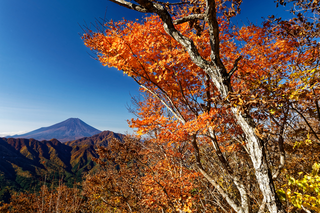 芭蕉 月待ちの湯／松尾芭蕉も詠んだ大自然にたたずむ湯
