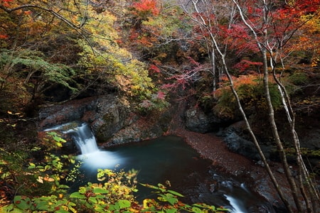 まほらの湯