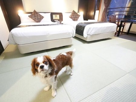 【わんちゃんルーム/和室ベッドルーム（バスなし）】愛犬同伴用ルームもご用意。