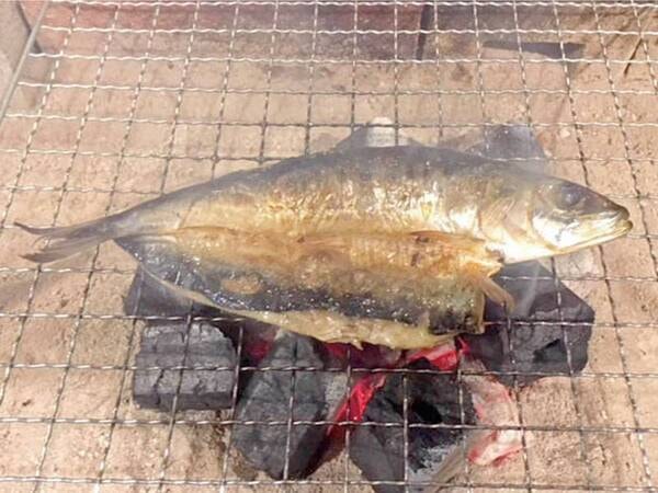 【地魚舟盛と本格炭火の炉ばた焼で秋の味覚を堪能プラン/例】炭火焼（いわしの干物）香ばしい薫りが最高です