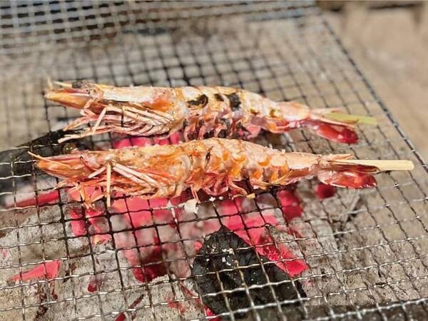 【地魚舟盛と本格炭火の炉ばた焼で秋の味覚を堪能プラン/例】海老塩焼き　プリプリの旨み溢れる有頭海老を塩焼きでどうぞ