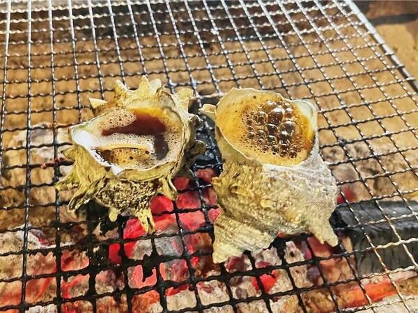 【地魚舟盛と本格炭火の炉ばた焼で秋の味覚を堪能プラン/例】磯の香りと醤油の香ばしさがたまらないサザエのつぼ焼き