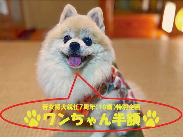 【プラン】優鶴の看板犬(リンク)就任7周年(10歳)特別企画!ペット宿泊料金半額プラン