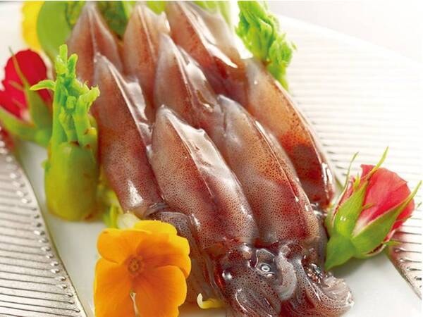 【ホタルイカ会席/例】春の味覚!ぷりぷりのホタルイカ