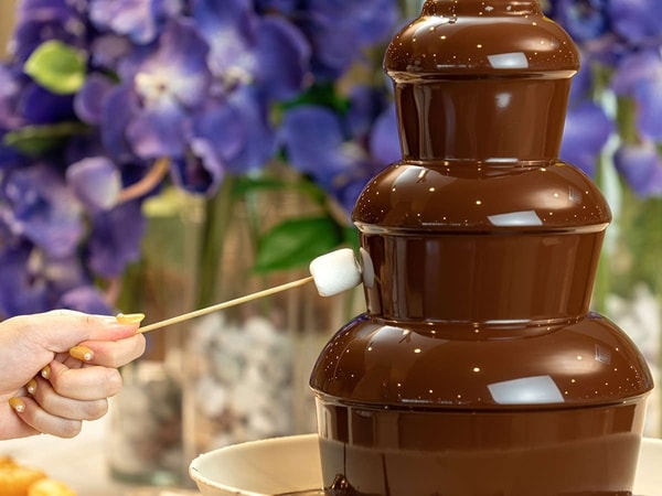 【夕食/例】大人気のチョコフォンデュ
