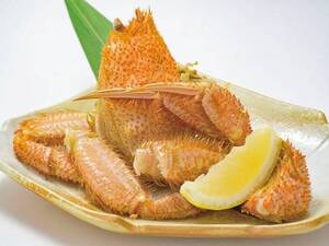 期間限定【北海道産毛蟹（半身）/写真一例】夕食時、追加でご提供！