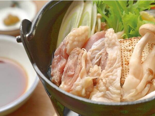 【選べるメインプラン/料理例】ほろほろ鳥水炊き鍋