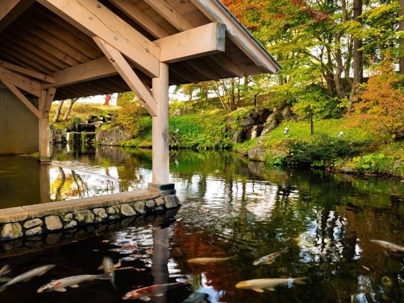 露天風呂：池泉を眺めながら湯浴み