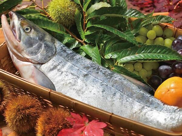 【夕食/例】三陸産のサケ