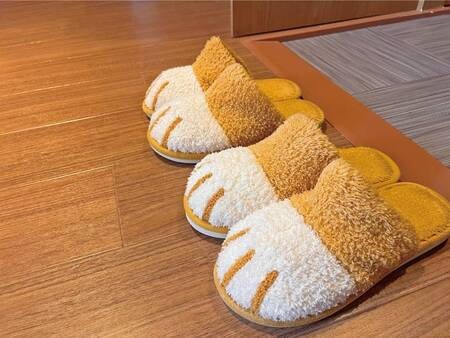 【フォックスルーム/例】