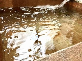 ホテルやなぎ/浴場