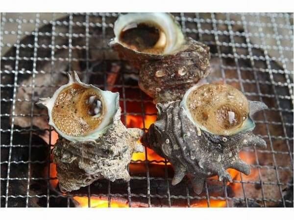 お肉と海鮮第5弾・黒毛和牛サーロイン/サザエのつぼ焼き例