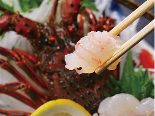 【夕食/例】伊勢海老のお造りの付いた海鮮会席