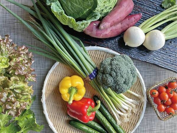 【新メニュービュッフェ/夕食例】箱根山麓野菜が並ぶサラダバー