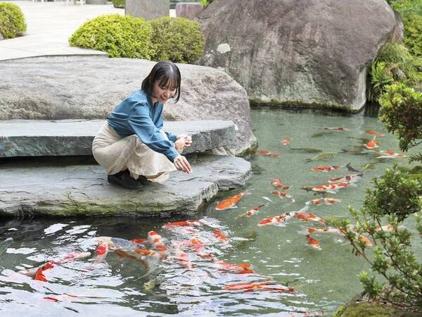 【日本庭園】先代が造り上げた美しい庭園は全客室から望むことができる