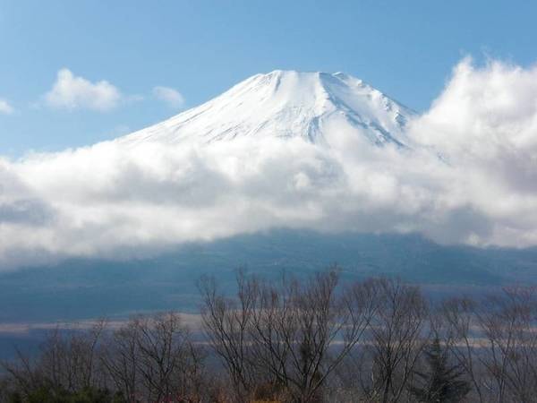 【展望室からの眺望】展望室の利用は無料！晴れた日には雄大な富士山が望める