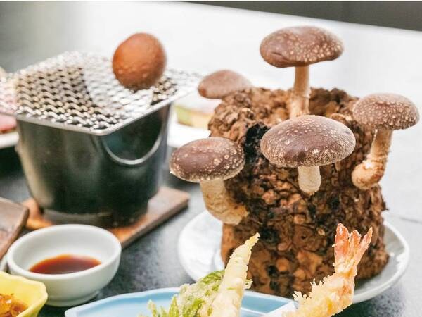 【夕食/例】しいたけの原木から手もぎを体験!