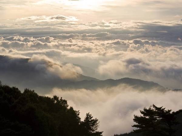 雲上露天の宿 あずまや高原ホテルの宿泊予約 人気プランtop3 ゆこゆこ