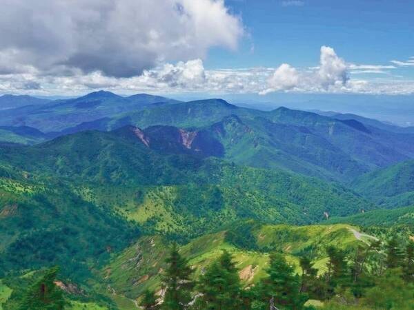 【周辺の景色(夏)】志賀高原の山々。5月下旬から6月にかけて新芽が芽吹く