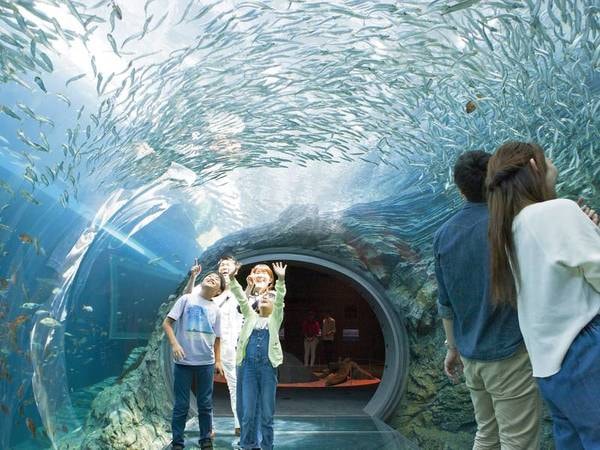 【周辺情報】新規オープンした上越市立水族博物館『うみがたり』まで車で約20分