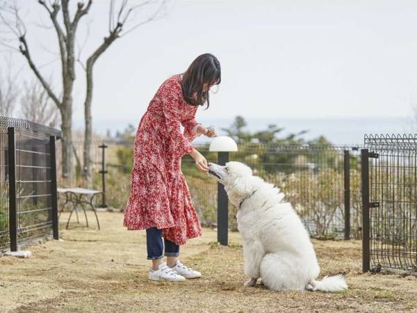 愛犬コミュニティ広場（屋外）