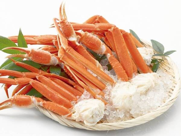 【2025年11月～2026年2月末まで限定】ディナーブッフェにずわい蟹が登場！（蟹足ボイル）