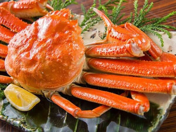 ずわい蟹尽くし会席×かに姿一杯付