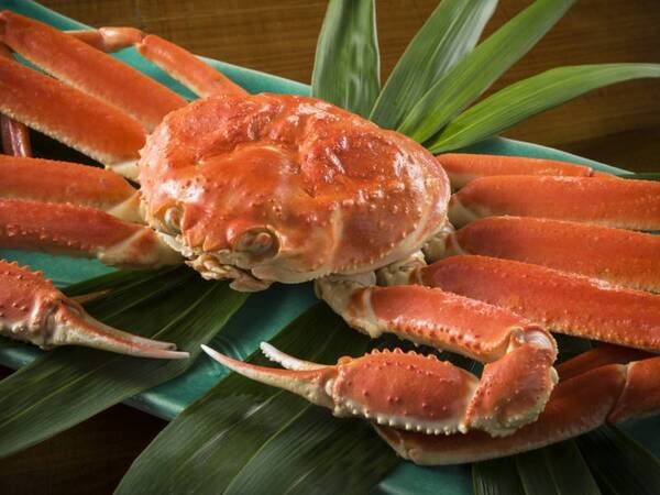 ゆこゆこ蟹一杯付き会席